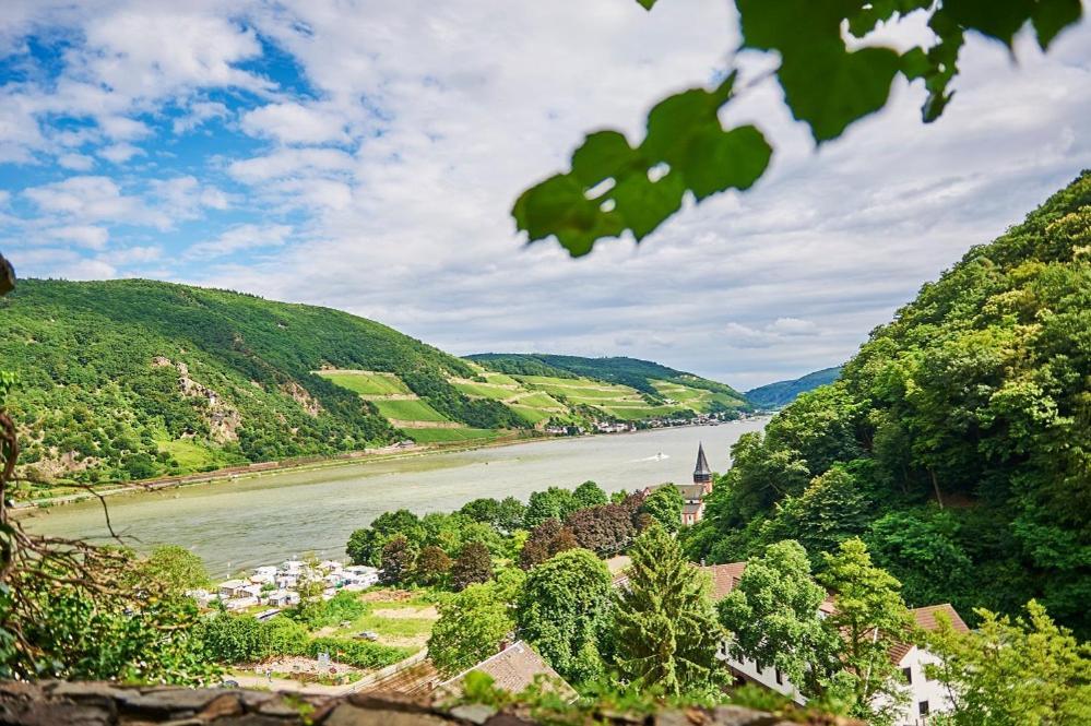 Отель Winzerhof Ross & Rose Trechtingshausen Экстерьер фото