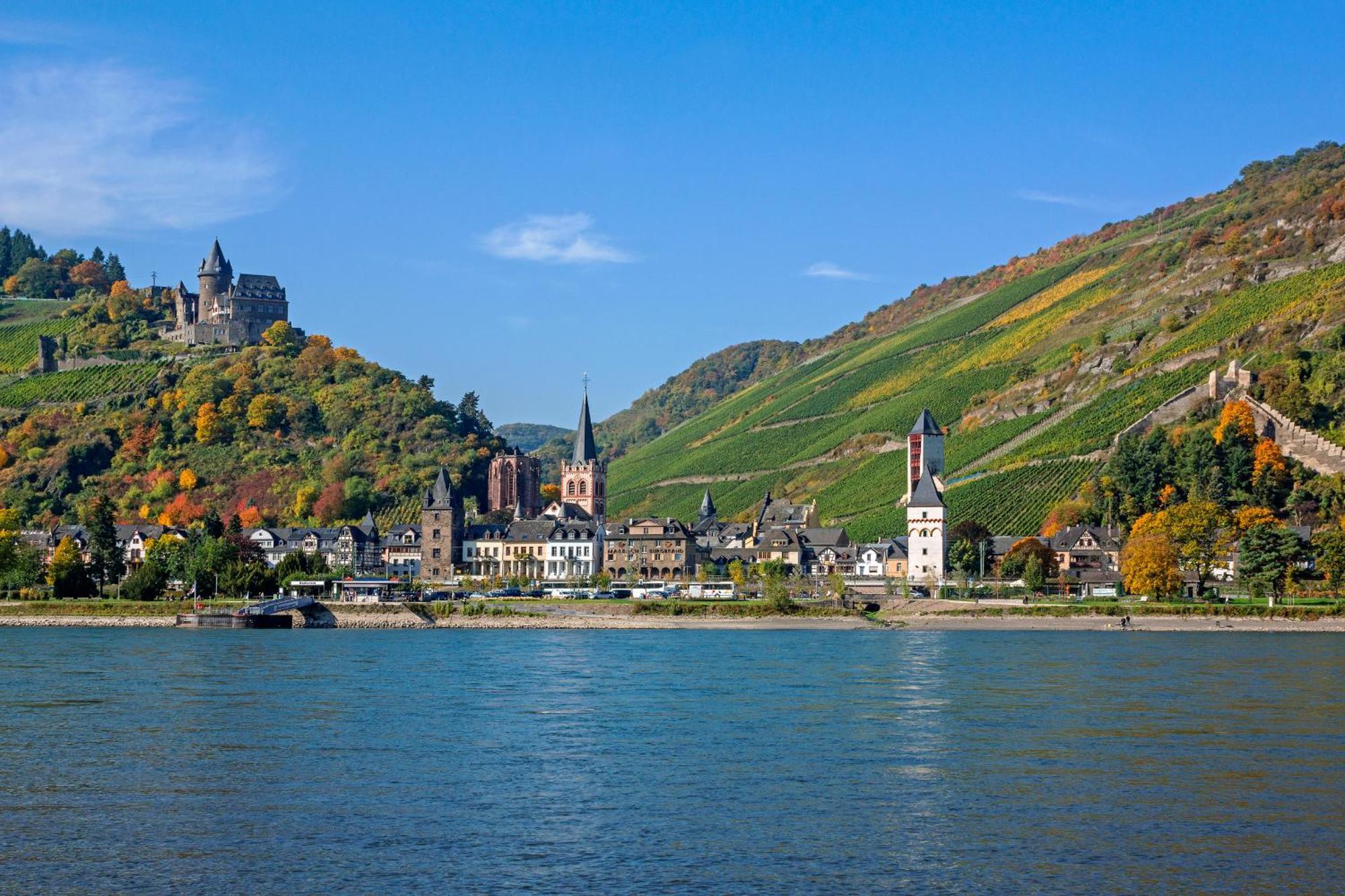 Отель Winzerhof Ross & Rose Trechtingshausen Экстерьер фото