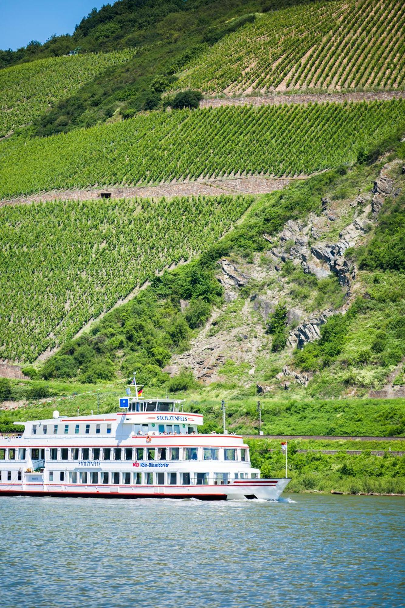 Отель Winzerhof Ross & Rose Trechtingshausen Экстерьер фото